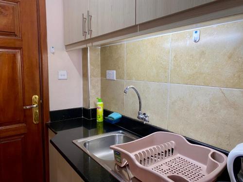 a kitchen sink with a dish drying rack next to it at Furnished Studio Apartment in Nairobi West in Nairobi