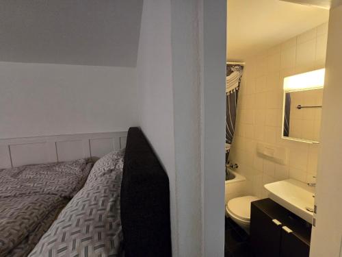 Great Double Apart in Old Town Bern
