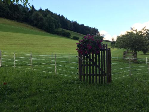 a fence with flowers on it in a field at Oberhub am Kleinsonnberg in Taxenbach