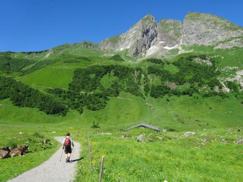 a person riding a horse on a path in the mountains at Ferienwohnungen im Färberhaus in Fischen