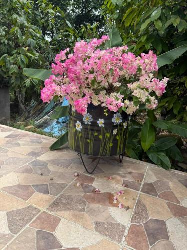 a large pot filled with pink flowers on a patio at Finca Turística Las Margaritas in Rivera