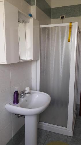 a bathroom with a sink and a shower at RELAX locazione turistica in Ceregnano