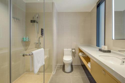 une salle de bain avec une douche, des toilettes et un lavabo dans l'établissement City Comfort Inn Dandong Railway Station Yalu River Scenic Area, à Dandong