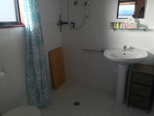 a bathroom with a sink and a shower curtain at Bentleys Country Stay in Hawarden