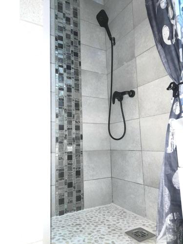 a bathroom with a shower with a shower curtain at Paloma Blanca 2 in Gárdony