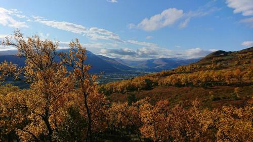 a view of a valley with trees and mountains at Mountain Cabin With Panoramic Views In Oppdal in Gorset