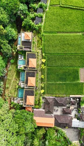 Κήπος έξω από το ELForest ex Karang Dukuh Villa, Ubud