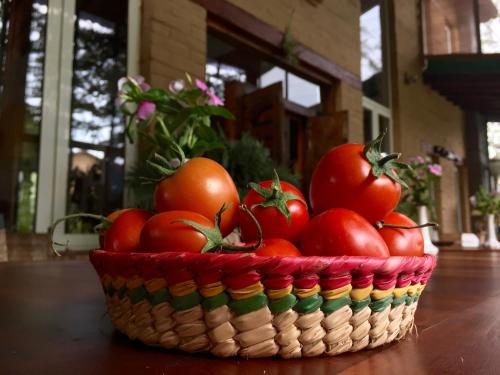 Comida en el bed and breakfast o alrededores