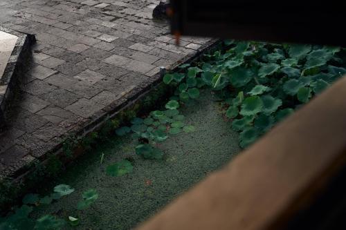 Un jardín fuera de Huanghsan SU House
