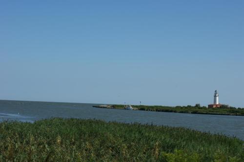 a view of a river with a grassy field at Hotel Tessarin in Taglio di Po