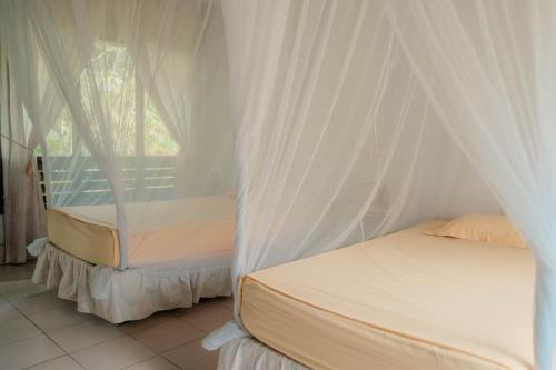 two beds in a room with white curtains at Ecolodge Bukit Lawang in Bukit Lawang