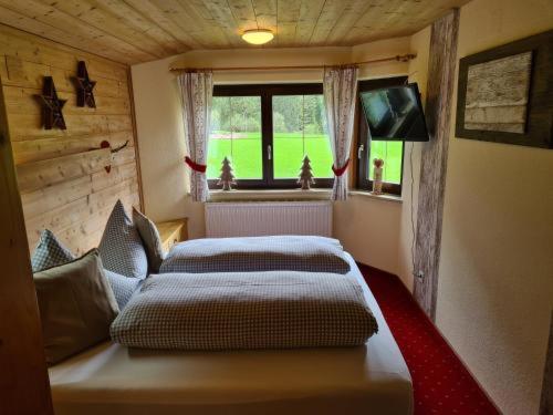 a bedroom with two beds in a room with a window at Appartement Sonnenspitze 5 in Ehrwald