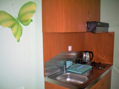 a kitchen with a sink and a butterfly on the wall at Four Seasons Studio in Asprovalta