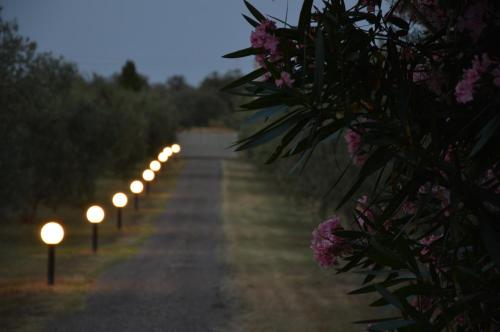 a row of lights on a road at night at Tenuta Di Pontesodo in Montalto di Castro