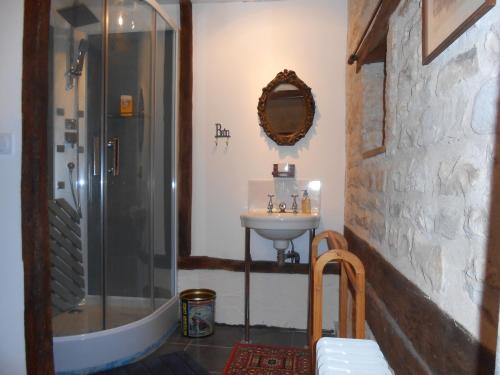 a bathroom with a shower and a sink at Chat Noir Gite et Chambre D'Hotes in Génouillé