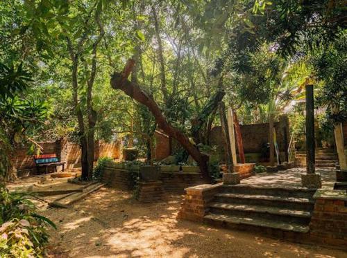 a garden with trees and stairs in a yard at Ceylon Kingsmen Garden - Katunayake Airport Transit Hotels in Negombo