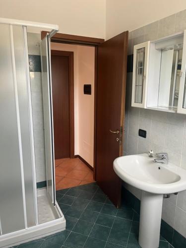 un bagno con lavandino e doccia di Franciacorta Home a Rovato