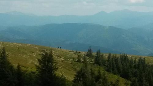 a view of a hill with mountains in the background at Chalet TysaBorkut in Kvasy