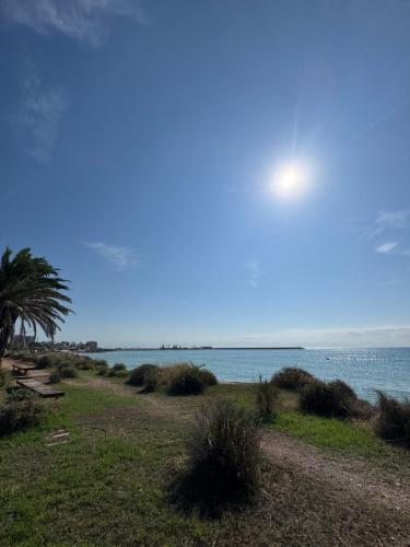 a beach with a palm tree and the ocean at Loft muy céntrico a 250m del mar in Vinaròs