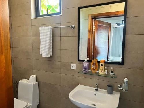 a bathroom with a sink and a mirror and a toilet at Villa AmNa in Grand Baie