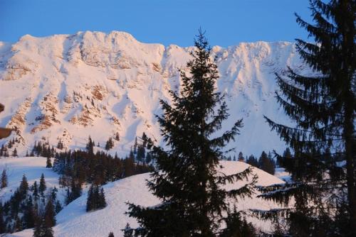 a snow covered mountain with a pine tree in the foreground at Fewo Heitmann in Oberjoch