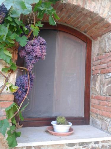 Φωτογραφία από το άλμπουμ του Villaggio dei Balocchi σε Castelbuono