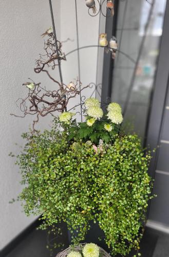 ein mit grünen Pflanzen gefüllter Blumenkasten vor einem Gebäude in der Unterkunft Luxury Appartement Marz, Europa Park- Rulantica in Mahlberg