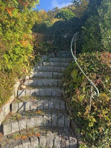 a set of stone stairs with a rope attached at Ferienhaus am Breitenbach-Stausee in Hilchenbach