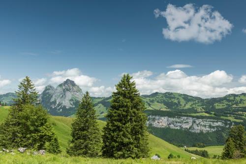 a group of trees on a green hill with a mountain at Stoos Hüttä in Stoos