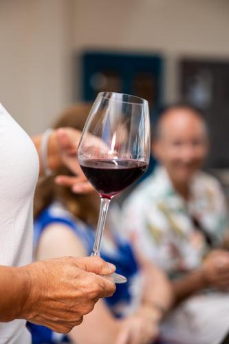 a person holding up a glass of red wine at Vigne Marrone B&B in Fossacesia