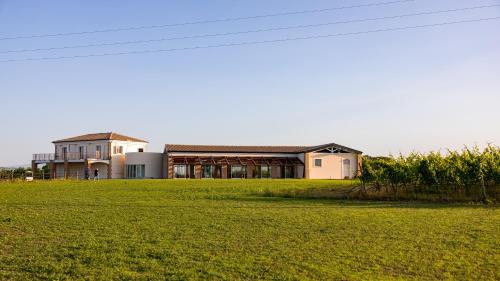 a large house in a field with a green field at Vigne Marrone B&B in Fossacesia