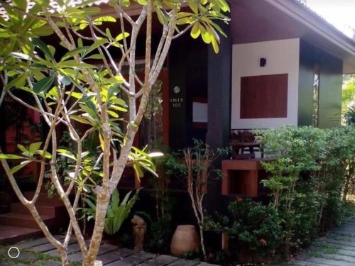 Jardín al aire libre en Ananas Samui Hostel