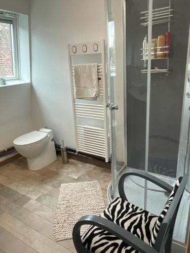 a bathroom with a toilet and a chair and a shower at Chambres dans maison de centre ville in Douai