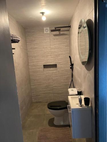 a bathroom with a toilet and a sink at Petit nid doué in Frameries
