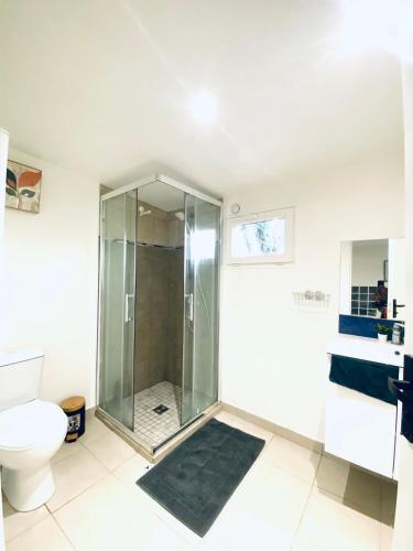 une salle de bain avec douche et toilettes dans l'établissement Logement Proche gare de Villiers le bel, 20 mins de Paris , Stade 2 France, Aéro CDG, Parc des expositions, Disneyland Paris,Futuroscope, Tour Eiffel, à Arnouville-lès-Gonesse