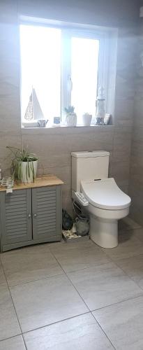 a bathroom with a toilet and a window at PATs in Belfast