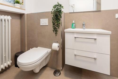 a bathroom with a white toilet and a sink at Komfortable Wohnung mit Terrasse für 5 Personen! in Baesweiler