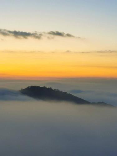 a mountain in the middle of a sea of clouds at 4000Dao- A Hilltop Hideaway & Experience in Doi Tung 