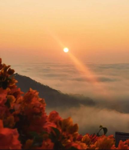 a view of the sun rising above the clouds at 4000Dao- A Hilltop Hideaway & Experience in Doi Tung 