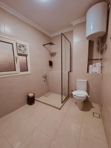 a bathroom with a shower and a toilet at Pyramids Art Inn in Cairo