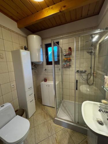 a bathroom with a shower and a toilet and a sink at Malinowa na polu in Skorka