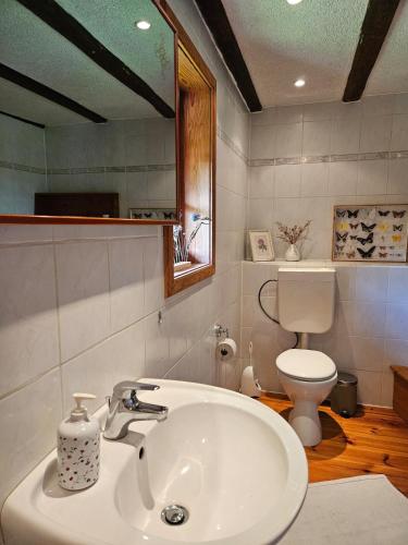Koupelna v ubytování Ferienhaus Lindenhof