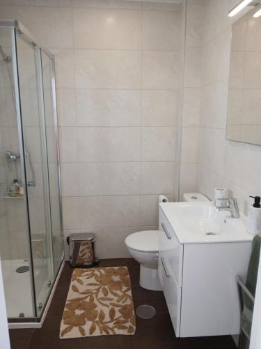 a bathroom with a toilet and a sink and a shower at AL Marias de Órion in Coimbra