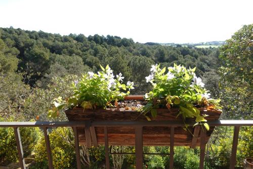 a wooden box with flowers on a fence with a mountain at Cal Fuse in Fonollosa