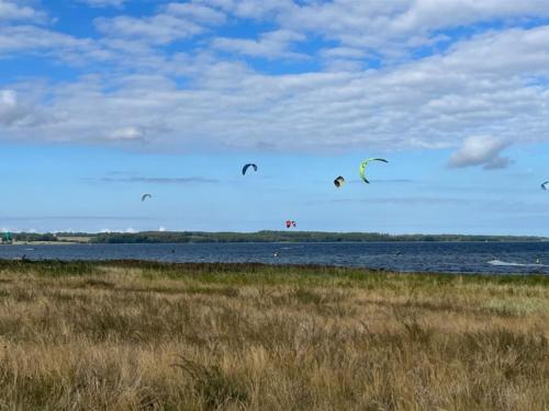 a group of kites flying over a body of water at Holiday Home Ilene - 1km from the sea by Interhome in Bogø By