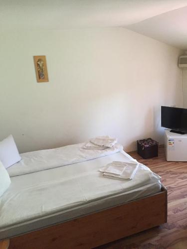 a bedroom with two beds and a flat screen tv at Pensiune Restaurant Casa Sofia in Petroşani