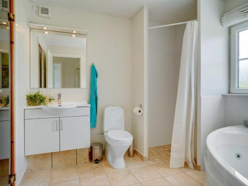 a bathroom with a toilet and a sink and a mirror at Holiday Home Eike - 250m from the sea by Interhome in Bro