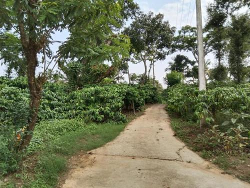 Gallery image of Papillon Paradise in Gonikoppal