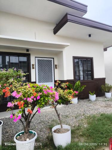 Taman di luar WanderStay De Dahican