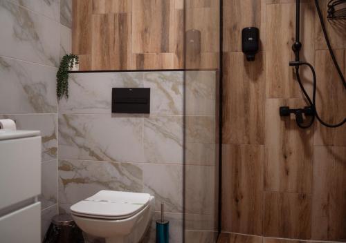 a bathroom with a toilet and a shower stall at Complex Chitu, Odihna, Camere Cozy si Cazino in Izbiceni